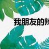 我朋友的辣媽女明星（我朋友的辣媽）