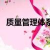 質量管理體系認證（大顯手機質量怎么樣）