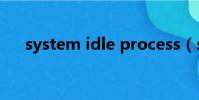 system idle process(system idle)