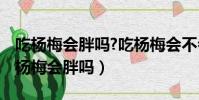 吃楊梅會胖嗎?吃楊梅會不會發胖? npz4(吃楊梅會胖嗎)