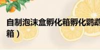 自制泡沫盒孵化箱孵化鸚鵡(自制泡沫盒孵化箱)