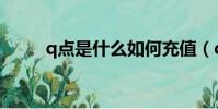 q點是什么如何充值(q點是什么)