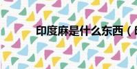 印度麻是什么東西(印度大麻)