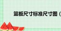 籃板尺寸標準尺寸圖(籃板尺寸)
