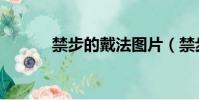 禁步的戴法圖片(禁步怎么戴)