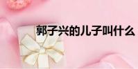 郭子興的兒子叫什么(郭子興)