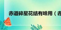 赤道碎星花結有啥用(赤道碎星花結)