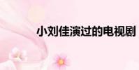 小劉佳演過的電視劇(小劉佳)