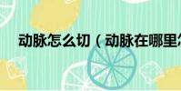 動脈怎么切(動脈在哪里怎么割死的快)