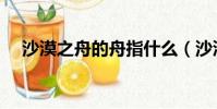 沙漠之舟的舟指什么(沙漠之舟的意思)