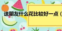 送朋友什么花比較好一點(送朋友什么花)