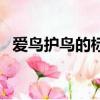 愛鳥護鳥的標語怎么寫（愛鳥護鳥的標語）
