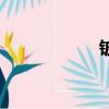 鈹銅的用途（鈹銅）