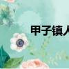 甲子鎮人口有多少人口（甲子鎮）