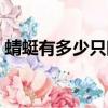 蜻蜓有多少只眼睛圖片（蜻蜓有多少只眼睛）