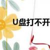 U盤打不開怎么辦（u盤打不開怎么辦）