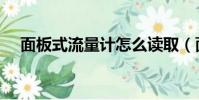 面板式流量計怎么讀取(面板式流量計)