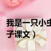我是一只小蟲子課文原文圖片（我是一只小蟲子課文）