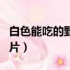 白色能吃的野生蘑菇圖片（能吃的野生蘑菇圖片）