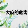 大麻的危害與煙酒的危害（大麻的危害）