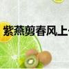 紫燕剪春風上一句詩句是什么（紫燕剪春風）