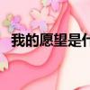 我的愿望是什么二年級（我的愿望是什么）