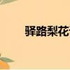 驛路梨花課堂筆記（驛路梨花賞析）