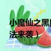 小魔仙之黑魔法來襲 電視劇（小魔仙之黑魔法來襲）