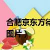 合肥京東方待遇怎么樣專科（合肥京東方宿舍圖片）