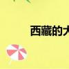 西藏的大學在咸陽（西藏的大學）