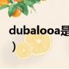 dubalooa是什么型號（dubaloo是什么型號）