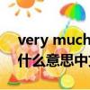 very much是什么意思的中文（verymuch什么意思中文）