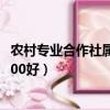 農村專業合作社屬于公司還是個體經營（農村交100好還是500好）
