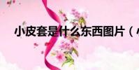 小皮套是什么東西圖片(小皮套啥意思)