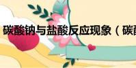 碳酸鈉與鹽酸反應現象(碳酸鈉與鹽酸反應)
