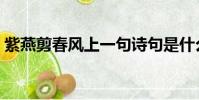 紫燕剪春風上一句詩句是什么(紫燕剪春風)