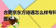 合肥京東方待遇怎么樣專科(合肥京東方宿舍圖片)