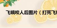 飛蛾咬人后圖片(打死飛蛾會有報應嗎)