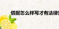 借據怎么樣寫才有法律效力(借據)