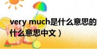 very much是什么意思的中文(verymuch什么意思中文)