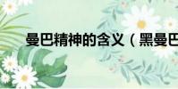 曼巴精神的含義(黑曼巴精神是什么)