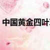 中國黃金四葉草項鏈寓意（四葉草項鏈寓意）