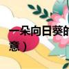 一朵向日葵的花語和寓意（向日葵的花語和寓意）