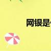 網銀是什么東西（網銀是什么）