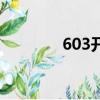 603開頭是什么股票（603）