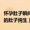 懷孕肚子瞬間隆起撐破衣服視頻（男生子隆起的肚子純生）