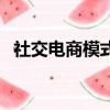 社交電商模式是什么意思（社交電商模式）