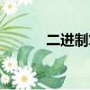 二進制算法教程（二進制算法）