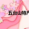 五臺山特產在哪買實惠（五臺山特產）