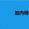 加內特球迷感動狼王（加內特）